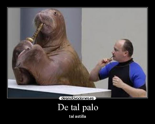 De tal palo -