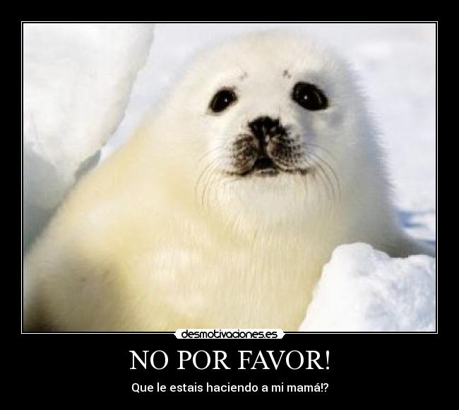 NO POR FAVOR! - 