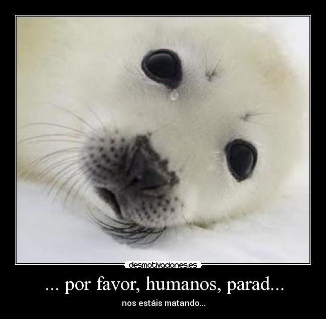 ... por favor, humanos, parad... -
