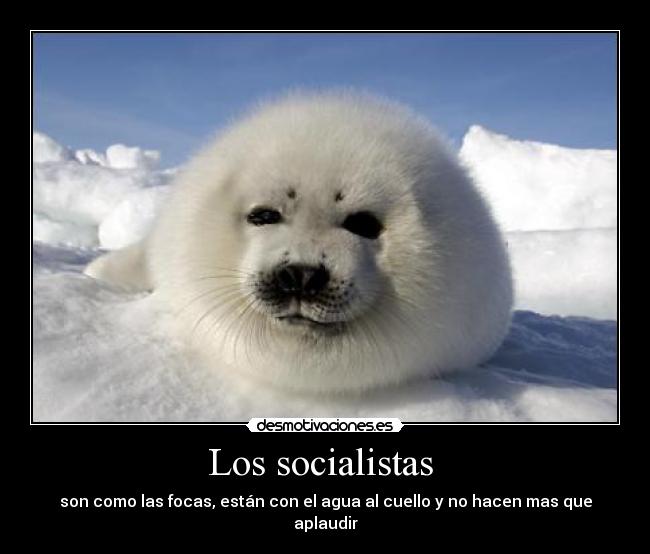 Los socialistas -