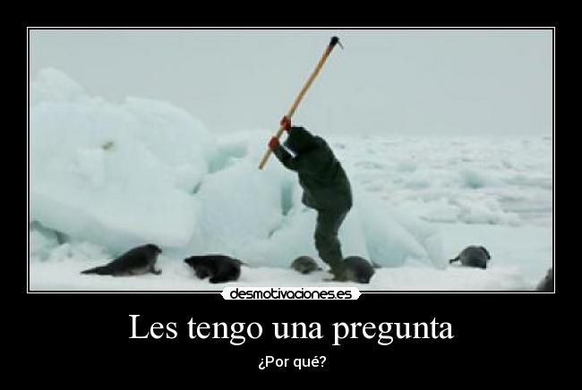 Les tengo una pregunta - ¿Por qué?