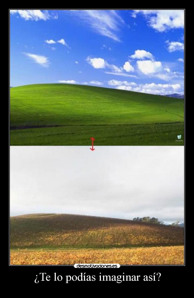 ¿Te lo podías imaginar así? - 