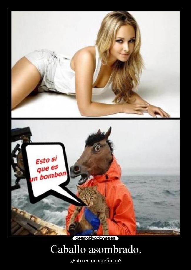 Caballo asombrado. - 