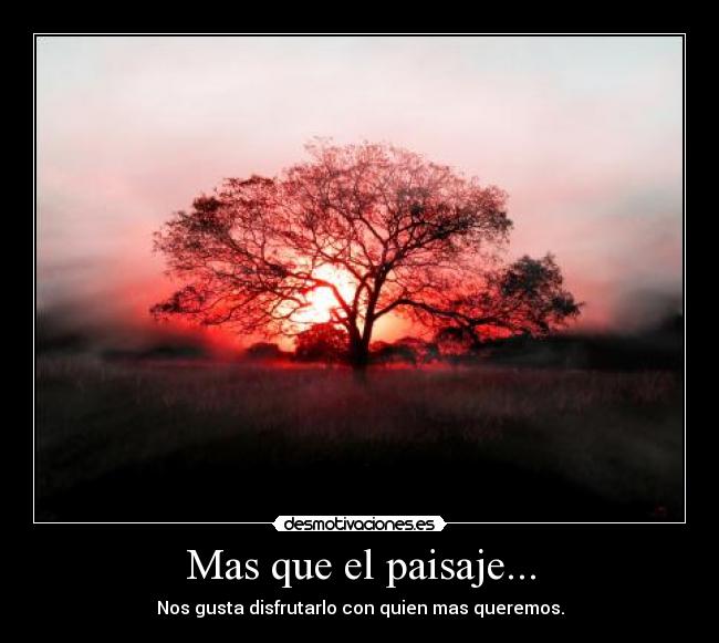 Mas que el paisaje... -