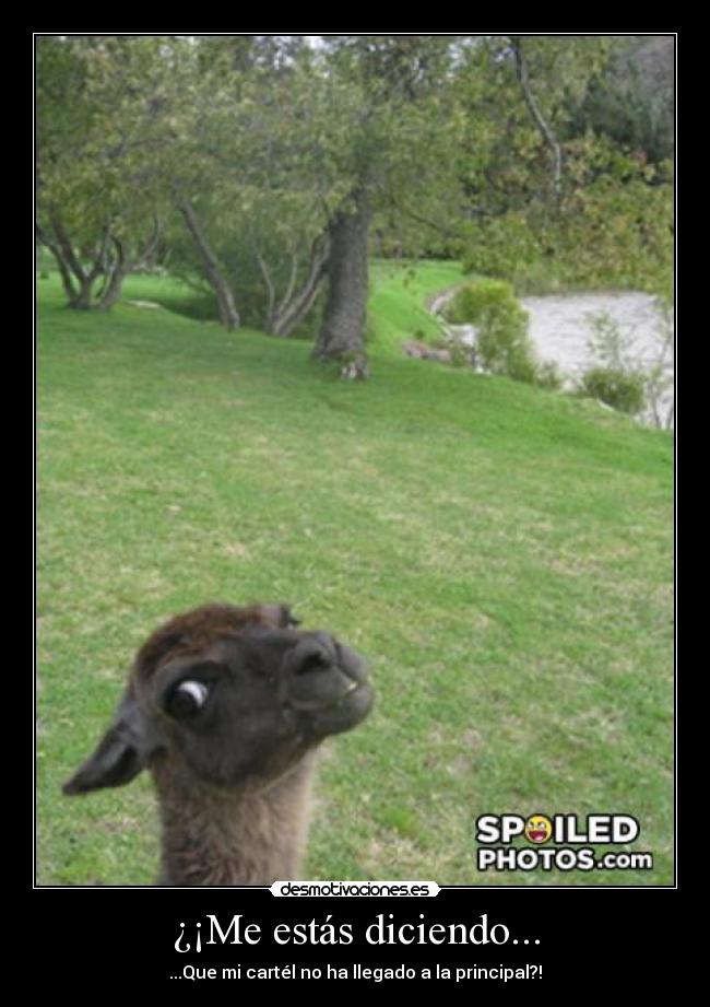 ¿¡Me estás diciendo... - ...Que mi cartél no ha llegado a la principal?!