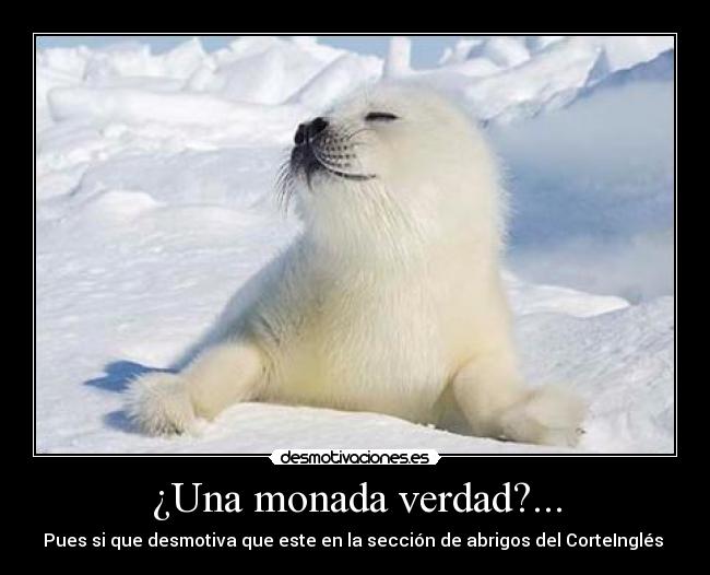 ¿Una monada verdad?... -