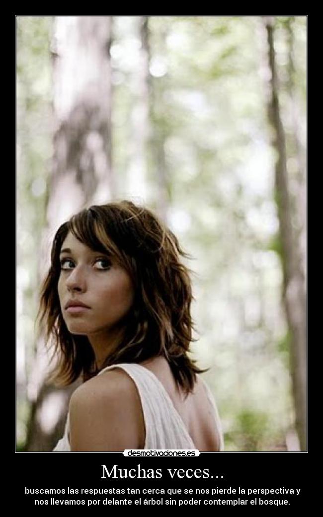 Muchas veces... -  buscamos las respuestas tan cerca que se nos pierde la perspectiva y
nos llevamos por delante el árbol sin poder contemplar el bosque.