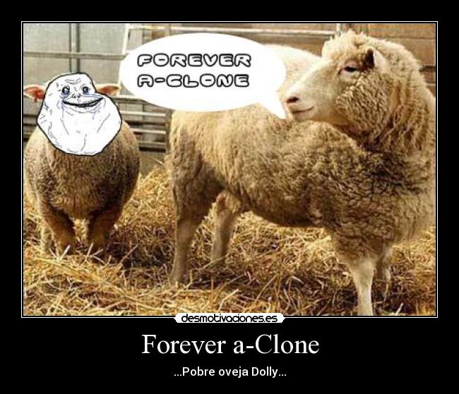 Forever a-Clone - ...Pobre oveja Dolly...