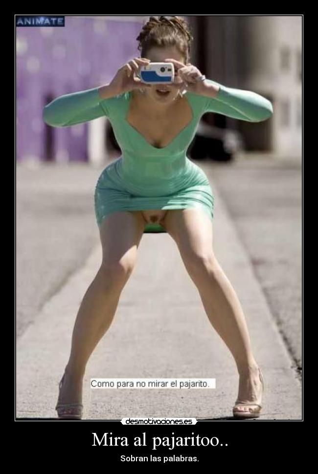 Mira al pajaritoo.. - 