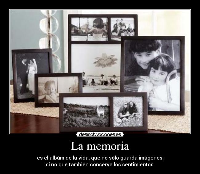 carteles wonka27 desmotivaciones