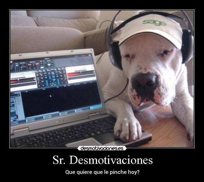 Sr. Desmotivaciones -