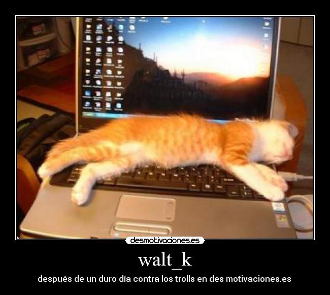 walt_k -