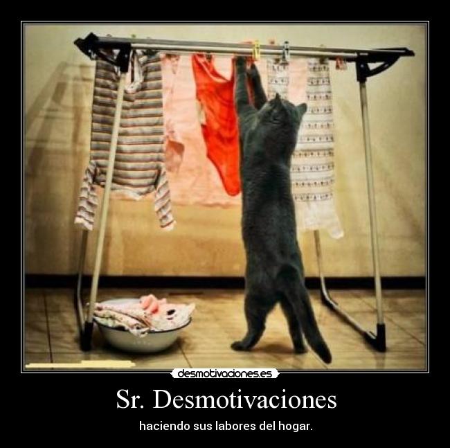 Sr. Desmotivaciones - haciendo sus labores del hogar.