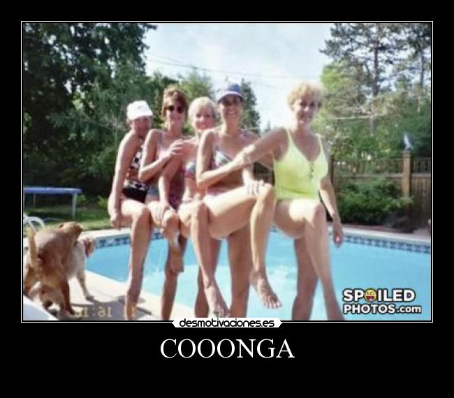 carteles perros fornicando follando desmotivaciones