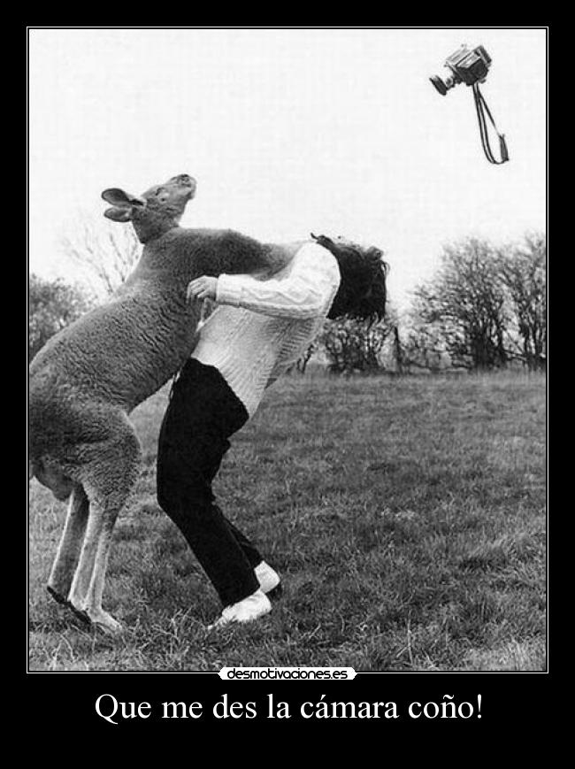 Que me des la cámara coño! -