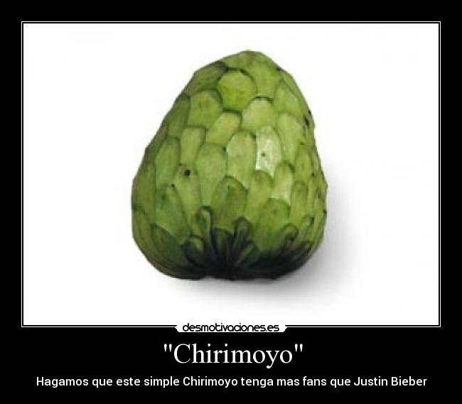 Chirimoyo - Hagamos que este simple Chirimoyo tenga mas fans que Justin Bieber