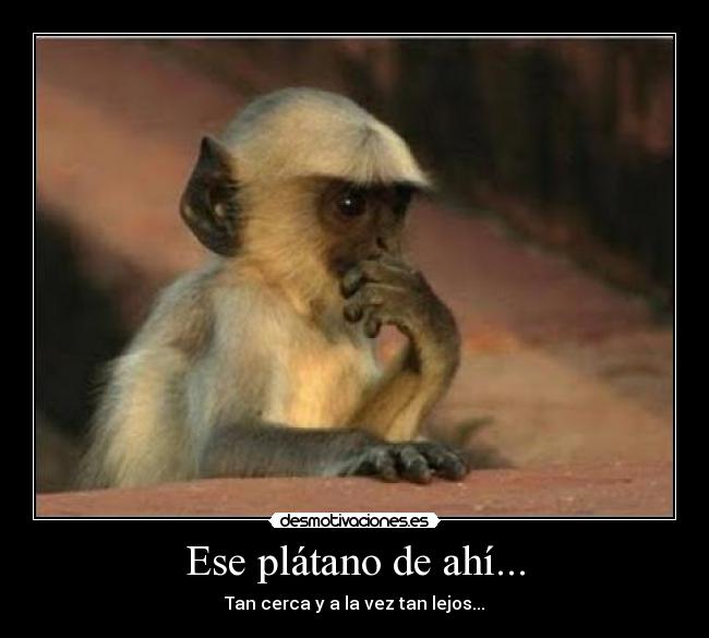 Ese plátano de ahí... -