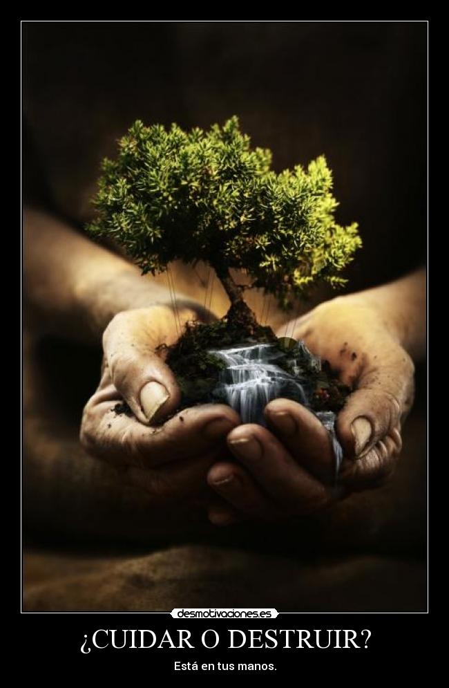 ¿CUIDAR O DESTRUIR? - 