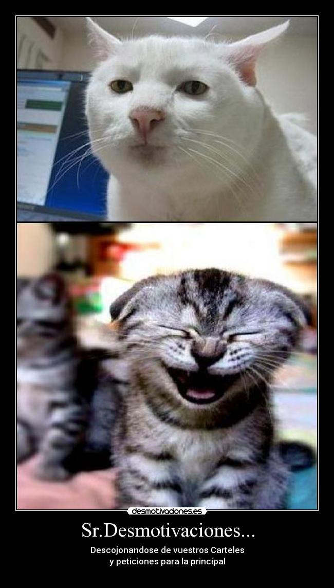 Sr.Desmotivaciones... - 
