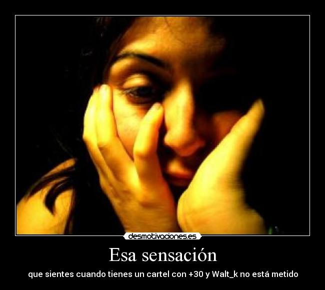 Esa sensación - que sientes cuando tienes un cartel con +30 y Walt_k no está metido