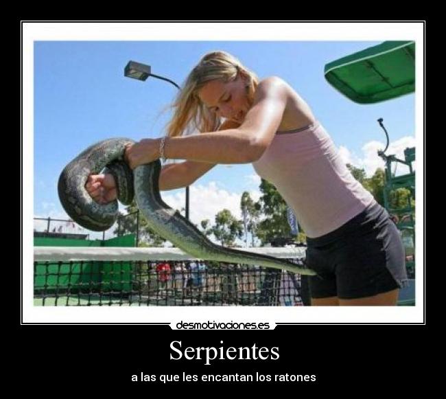 Serpientes - 