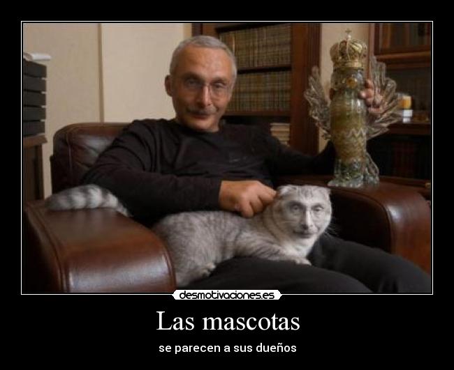Las mascotas -