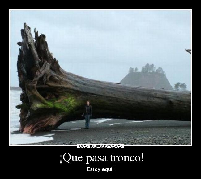¡Que pasa tronco! - 
