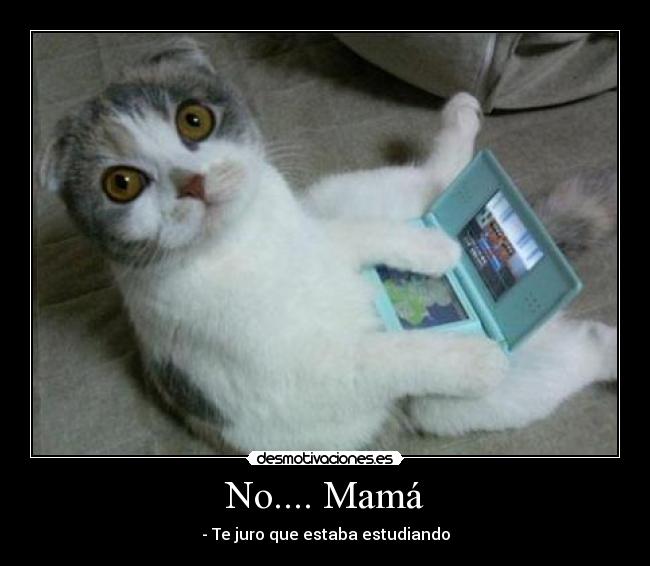 No.... Mamá - - Te juro que estaba estudiando