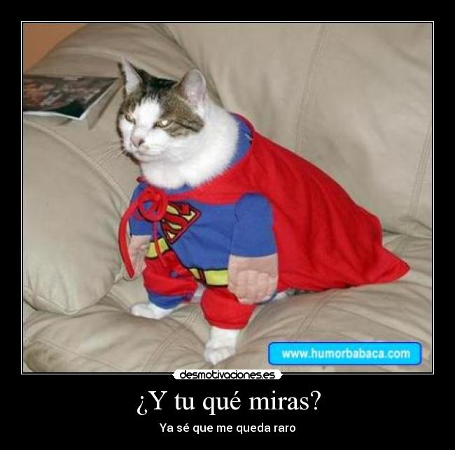 carteles gato disfraz superheroe desmotivaciones