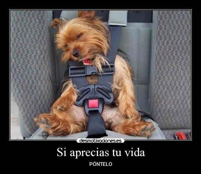 Si aprecias tu vida -