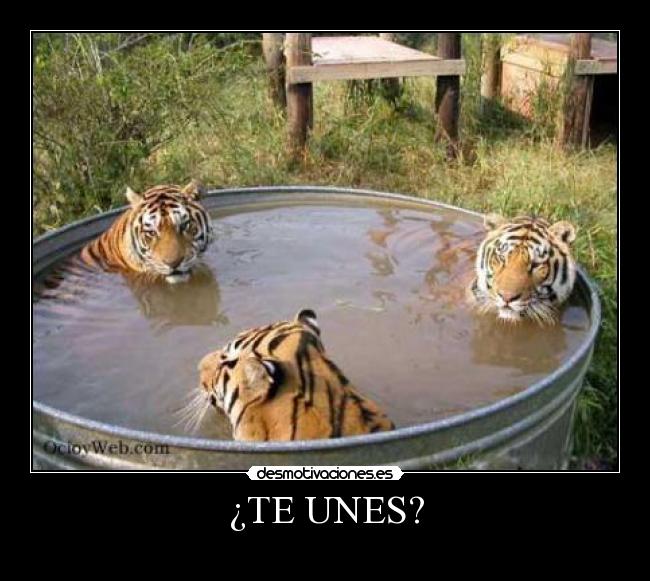 ¿TE UNES? - 