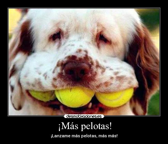 ¡Más pelotas! -