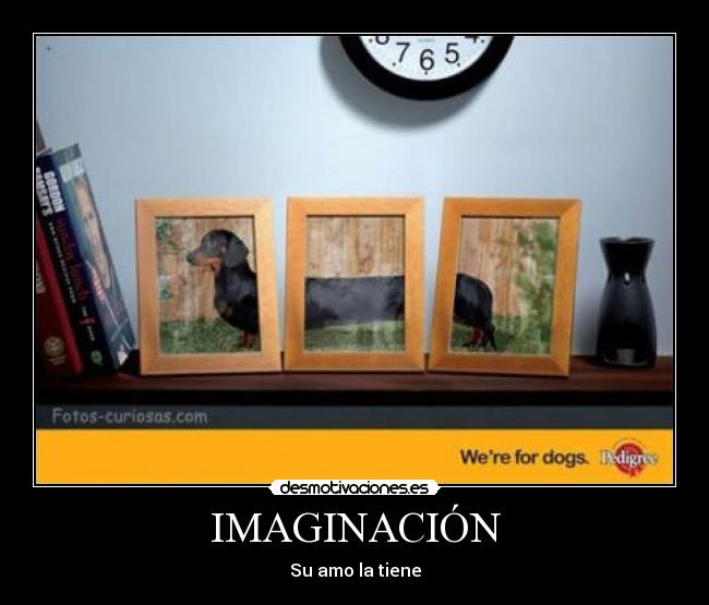 IMAGINACIÓN - Su amo la tiene