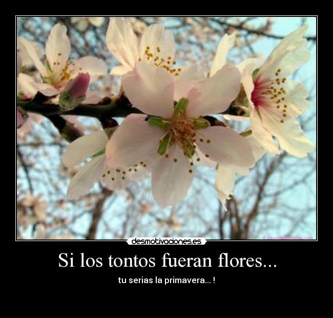 Si los tontos fueran flores... -