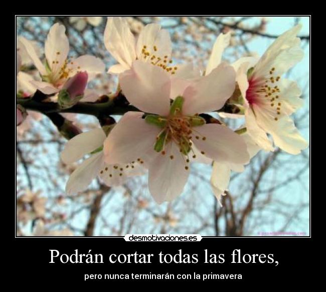 Podrán cortar todas las flores, - pero nunca terminarán con la primavera