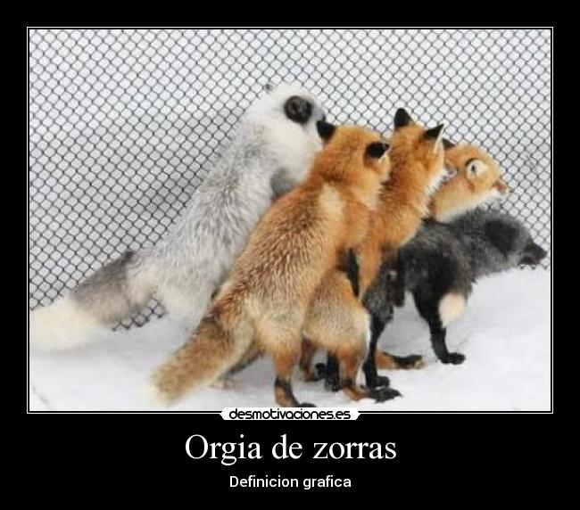 Orgia de zorras - Definicion grafica