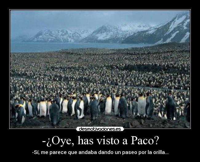 -¿Oye, has visto a Paco? - -Sí, me parece que andaba dando un paseo por la orilla...