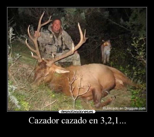Cazador cazado en 3,2,1... -