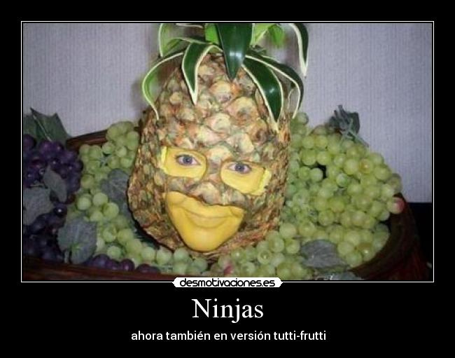 Ninjas - 