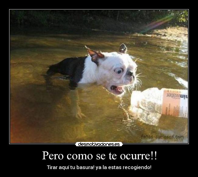 Imágenes, Carteles y Desmotivaciones de basura contaminar perro Imágenes, Carteles y Desmotivaciones de basura contaminar perro