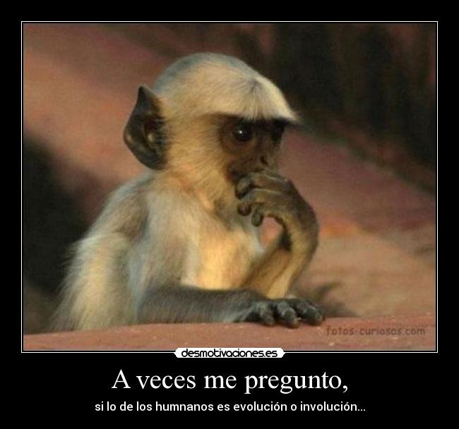 A veces me pregunto, - si lo de los humnanos es evolución o involución...