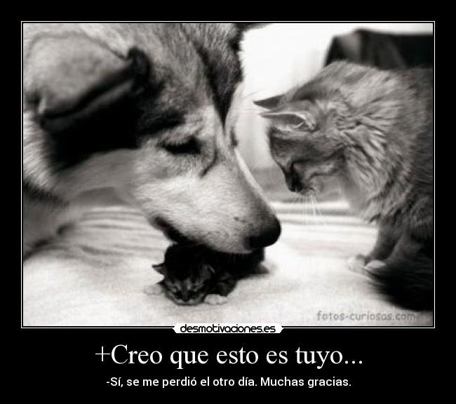 +Creo que esto es tuyo... - -Sí, se me perdió el otro día. Muchas gracias.