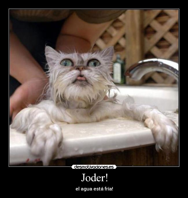 Joder! - el agua está fría!