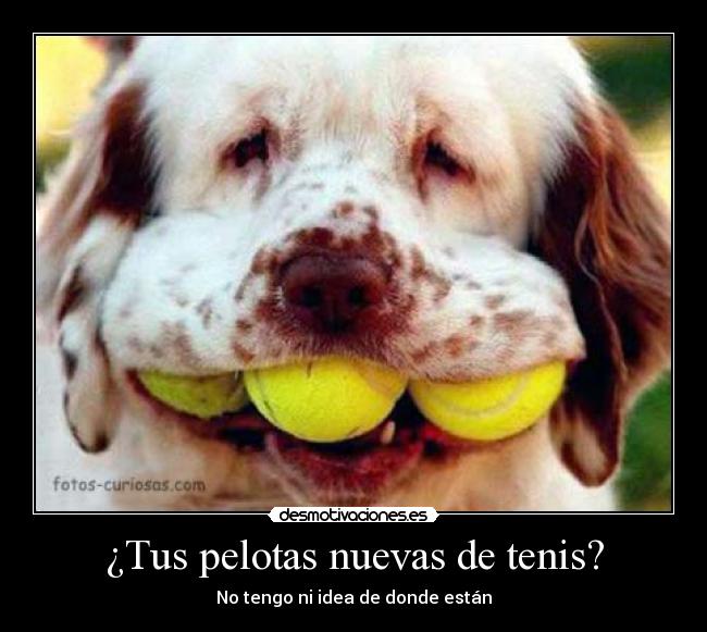 ¿Tus pelotas nuevas de tenis? - No tengo ni idea de donde están