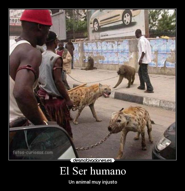 El Ser humano - 