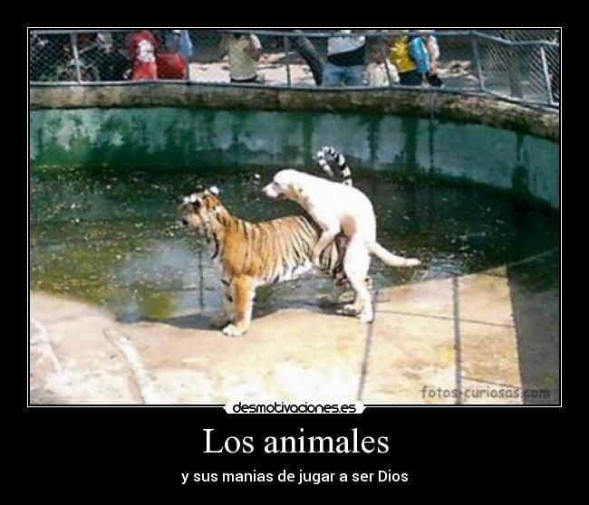 Los animales - y sus manias de jugar a ser Dios