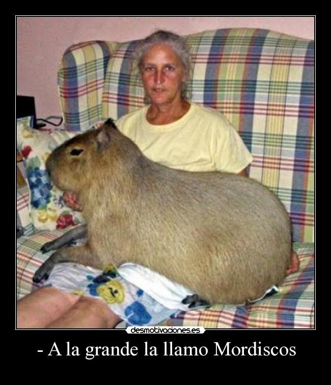 - A la grande la llamo Mordiscos -