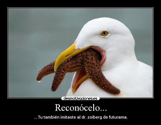 Reconócelo... - 