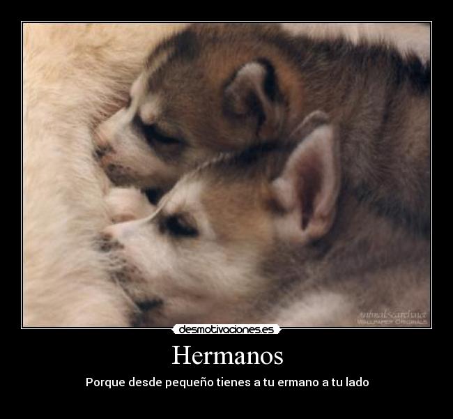 carteles adrianitoo desmotivaciones