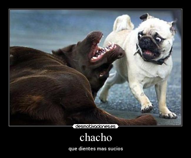 chacho - que dientes mas sucios